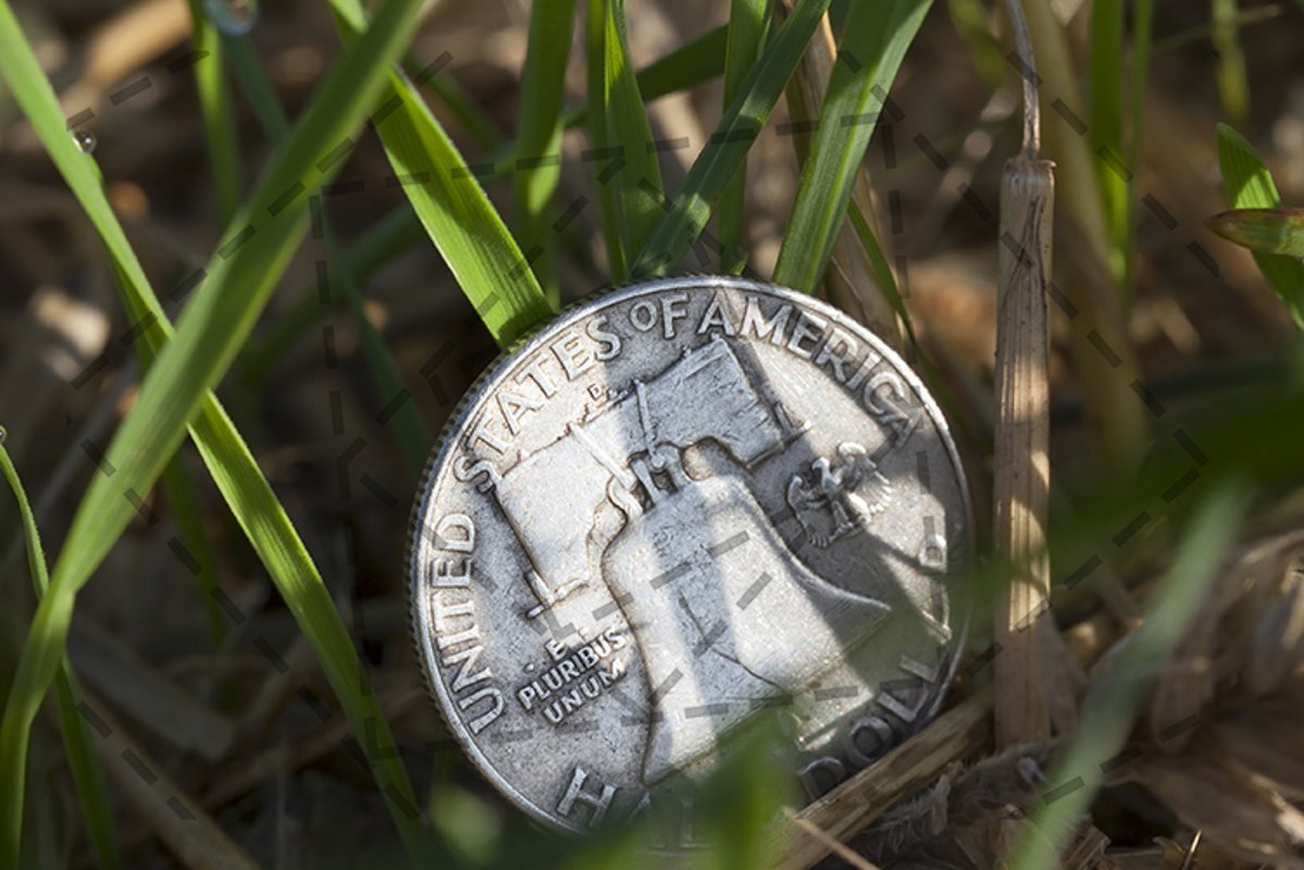 money on grass example image 1