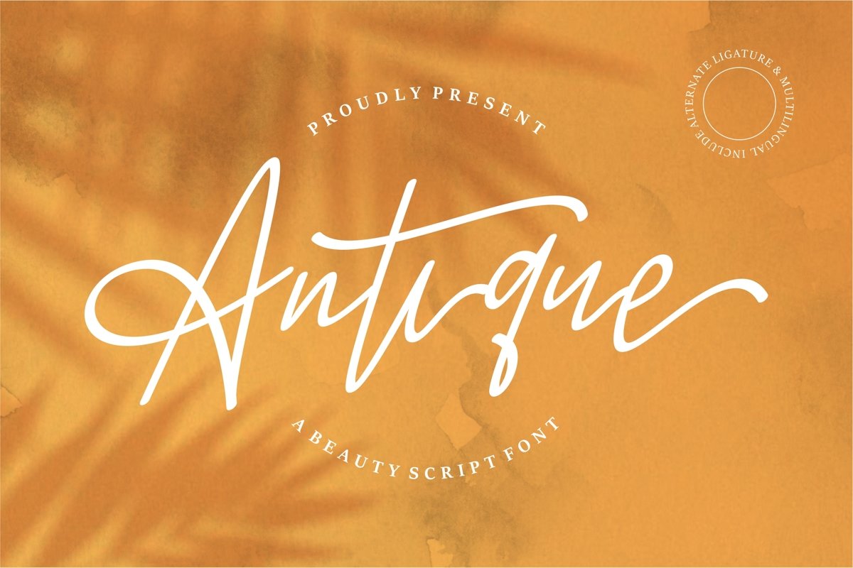 Antique - A Beauty Script Font example image 1
