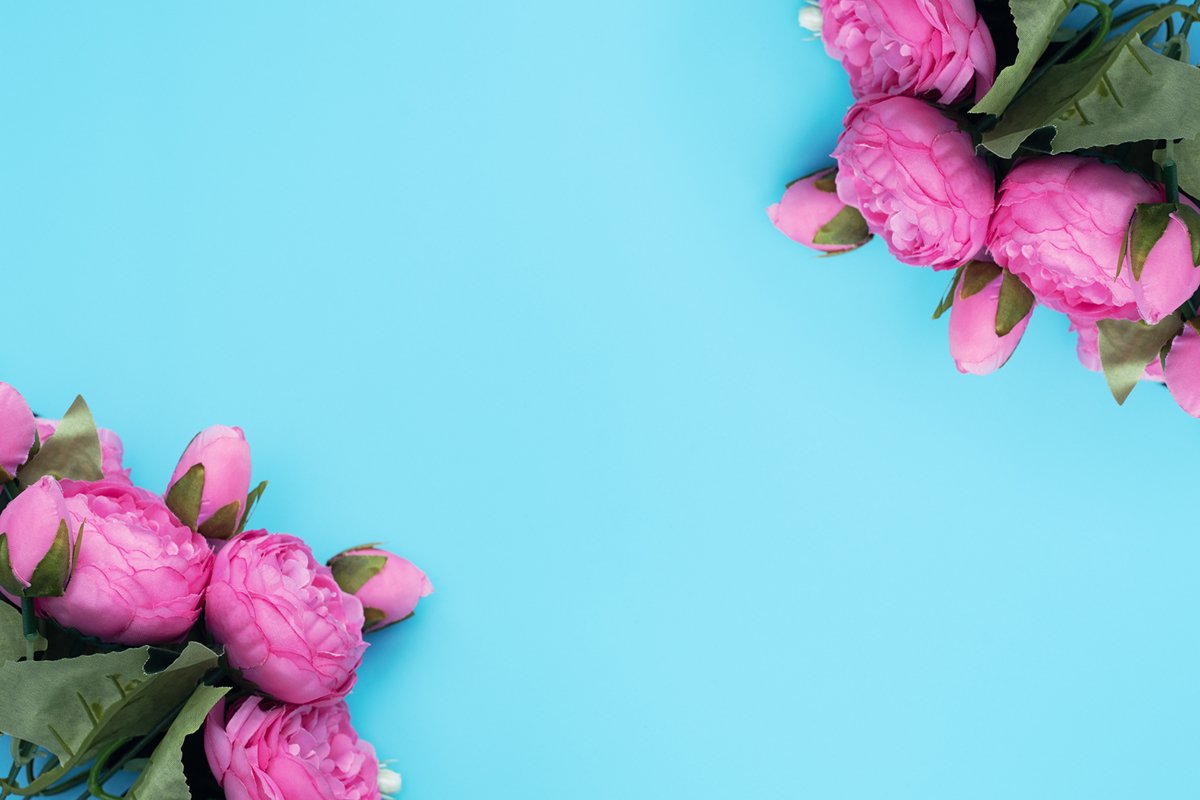 Pink flowers on blue background. example image 1