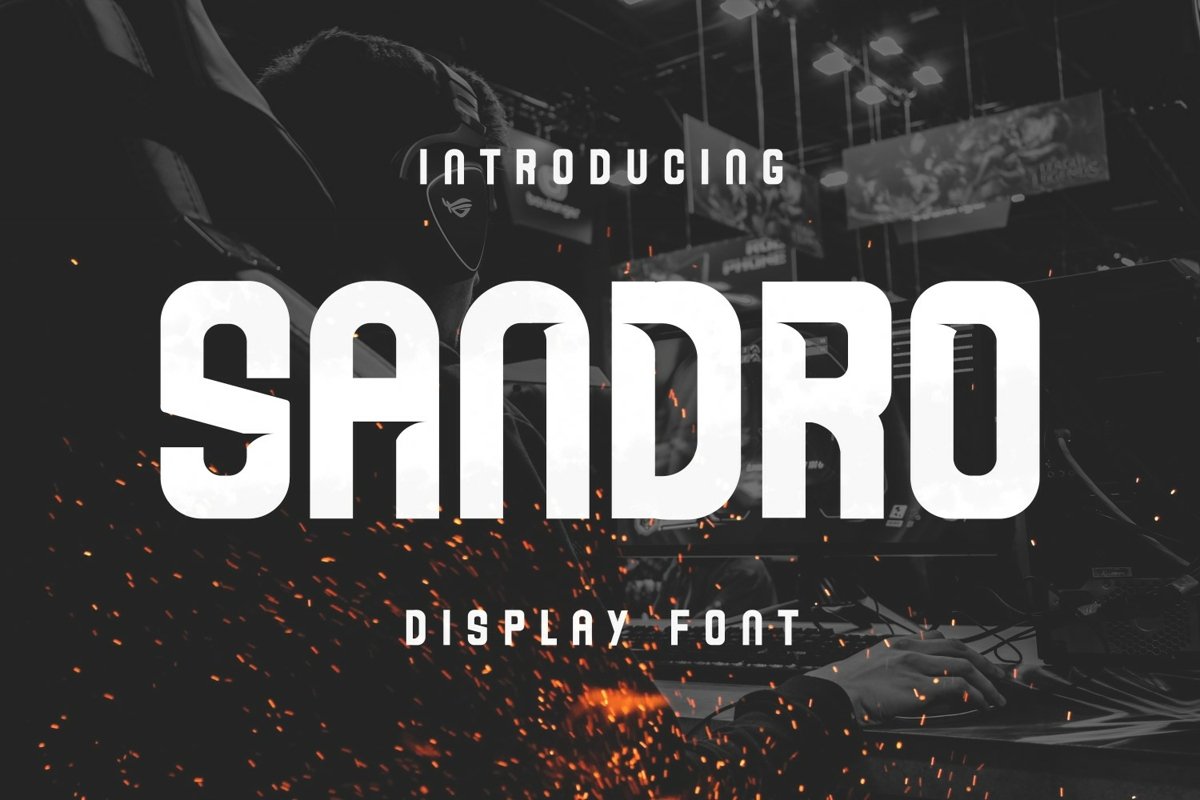 Sandro Font example image 1