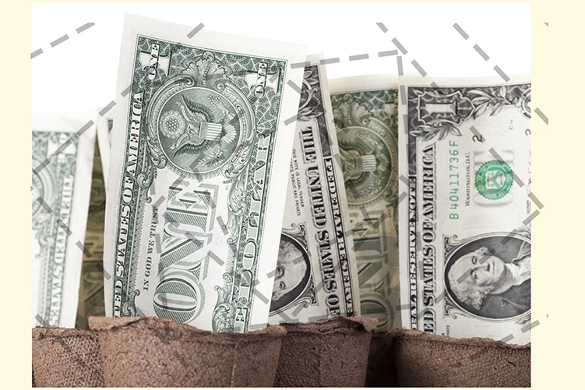 cash American banknotes example image 1