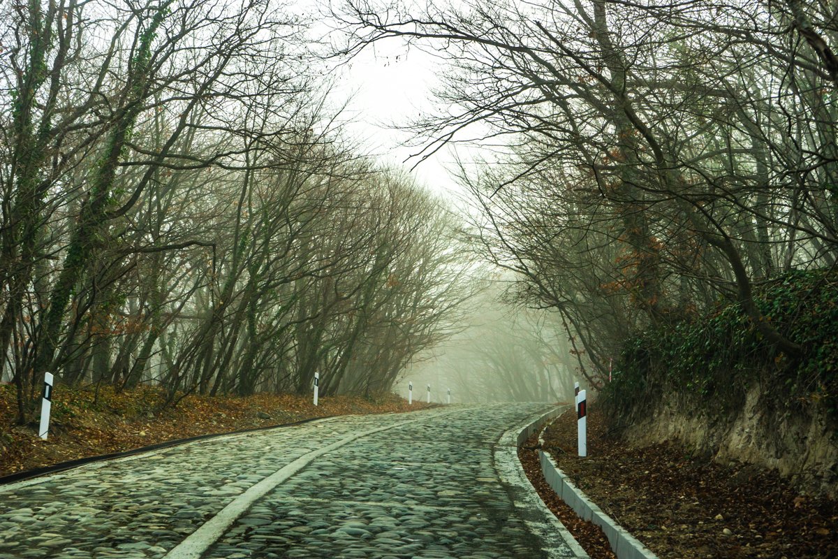 Road in the misty autumnal forest example image 1