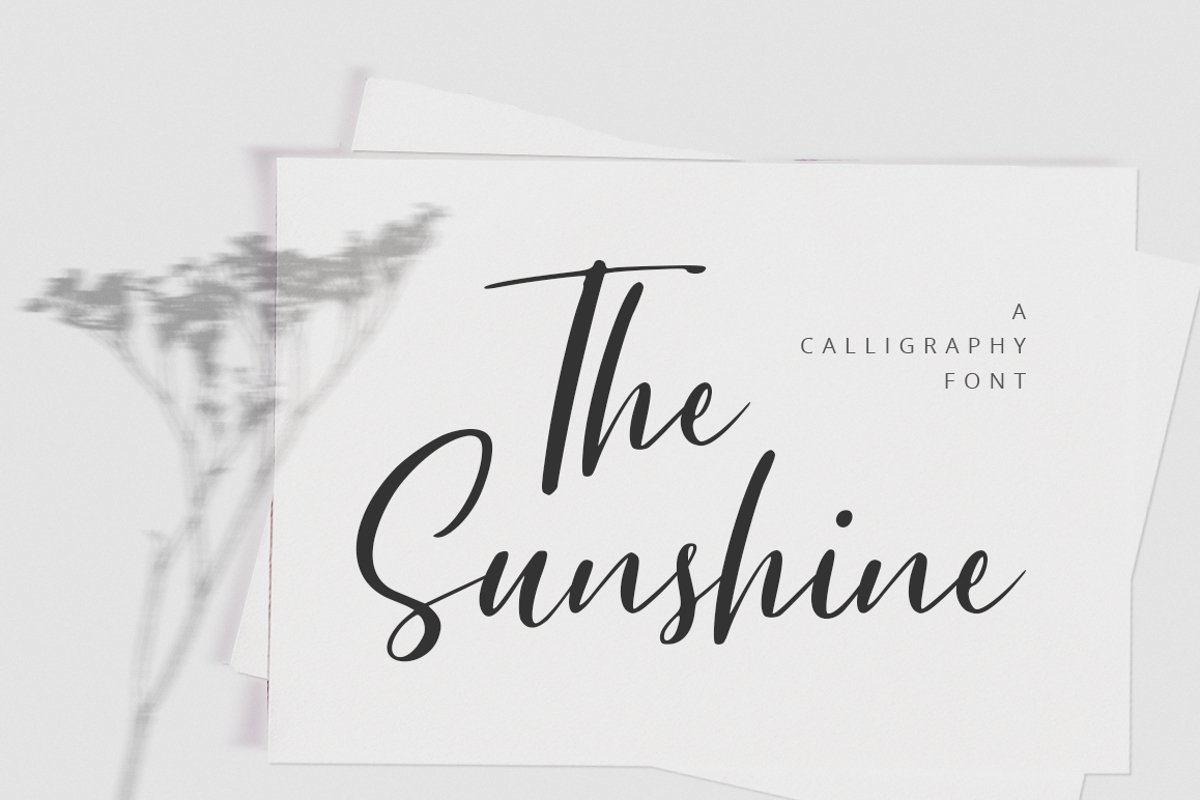 The Sunshine example image 1
