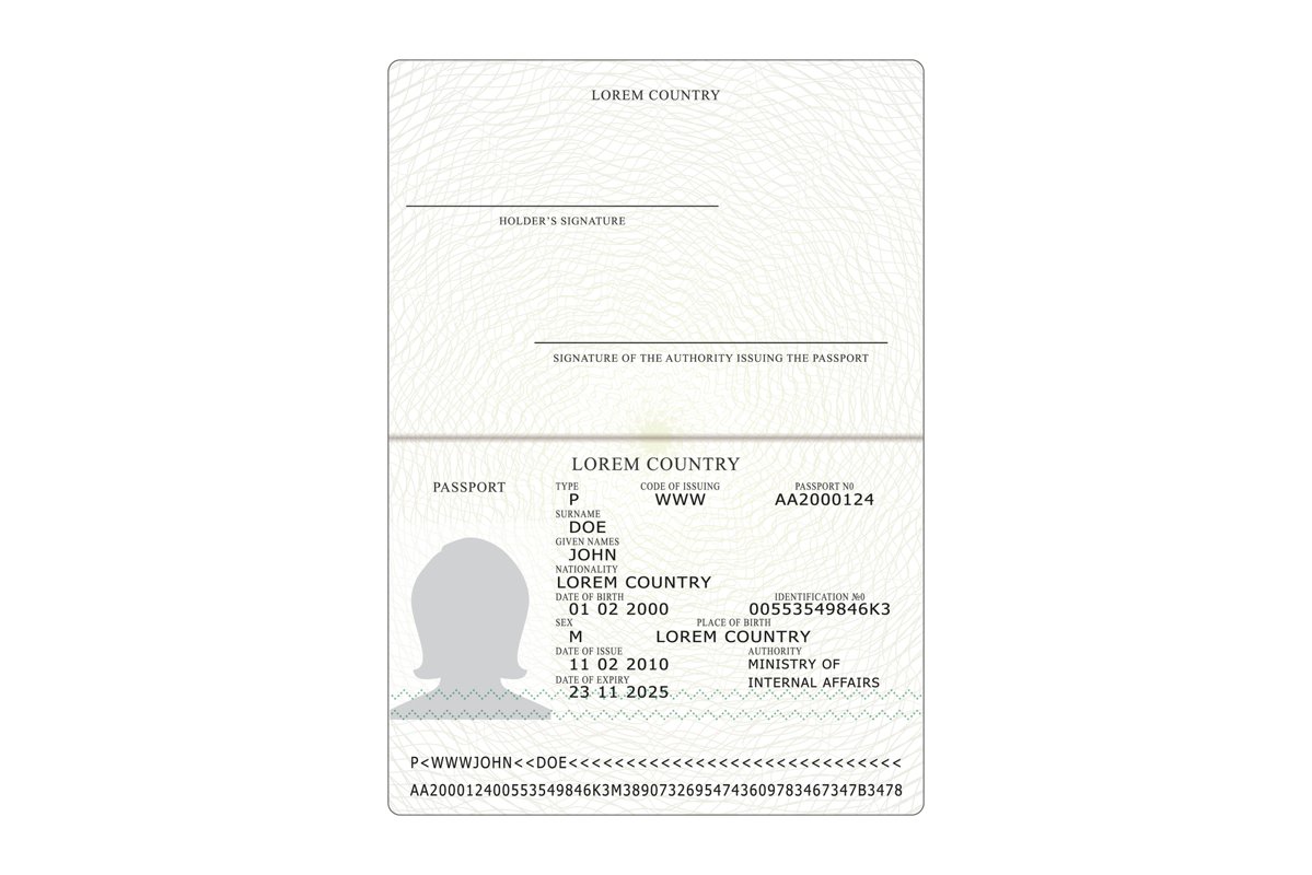 International Passport Vector. Opened Passport Page Blank example image 1