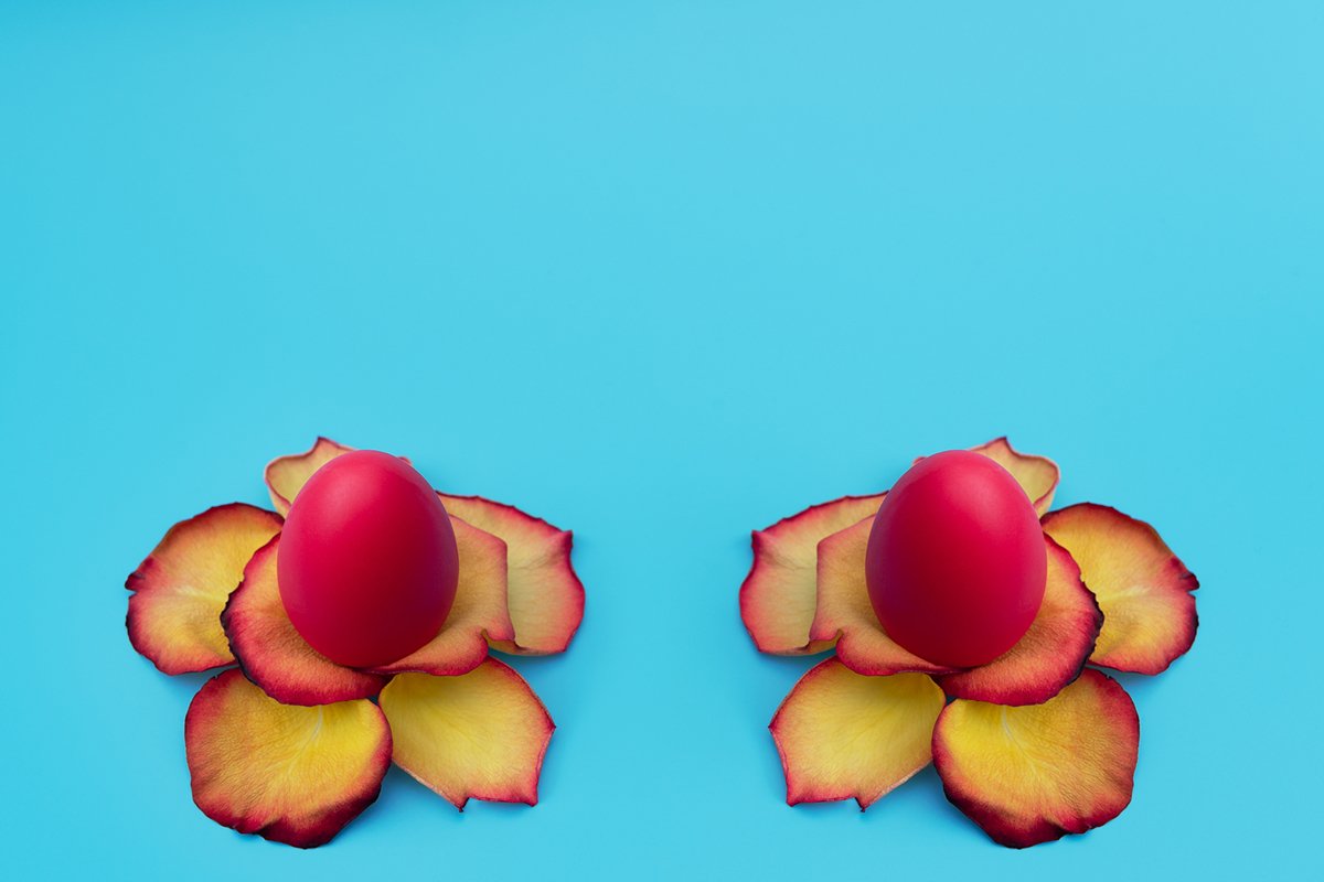Red Easter eggs stand in yellow flowers made of rose petals example image 1