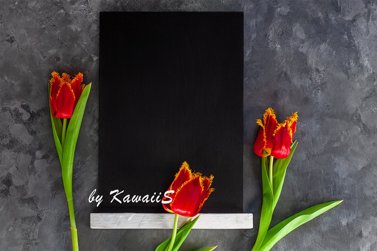 Black chalk board mockup with red tulip flowers on concrete example image 1