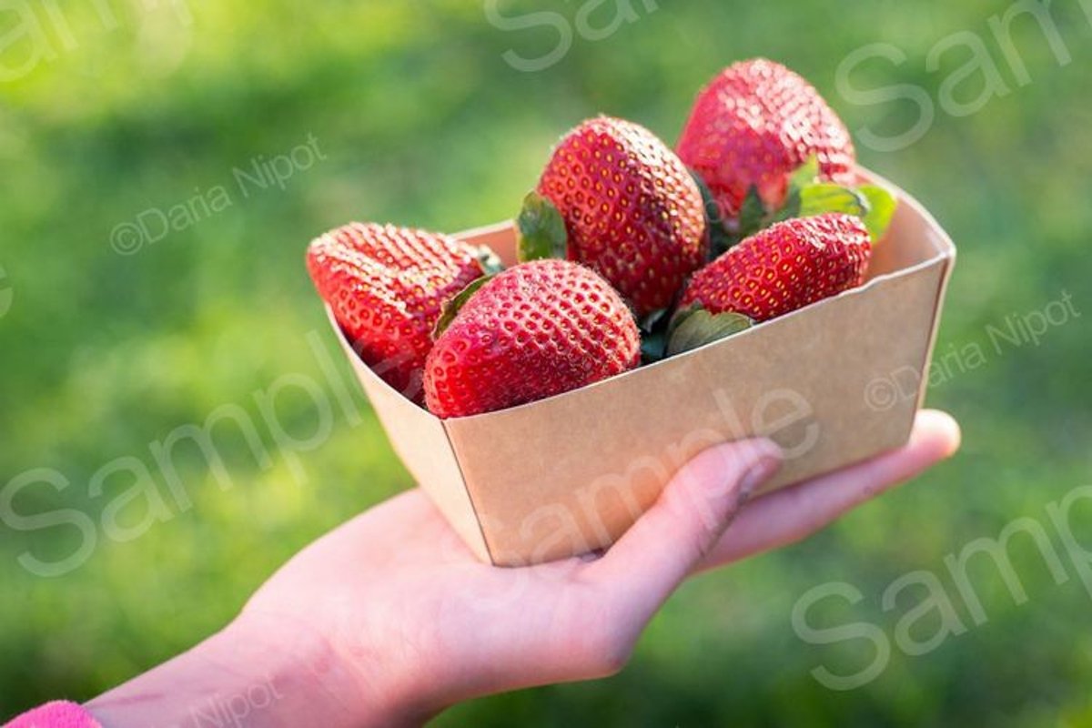 Strawberries in recyclable paper box example image 1