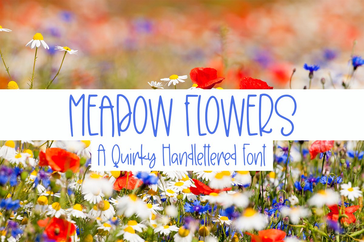 Meadow Flowers - A Quirky Hand-Lettered Font example image 1