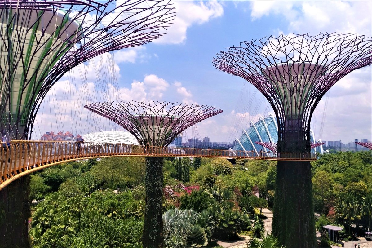 Amazing gardens by the bay in Singapore example image 1