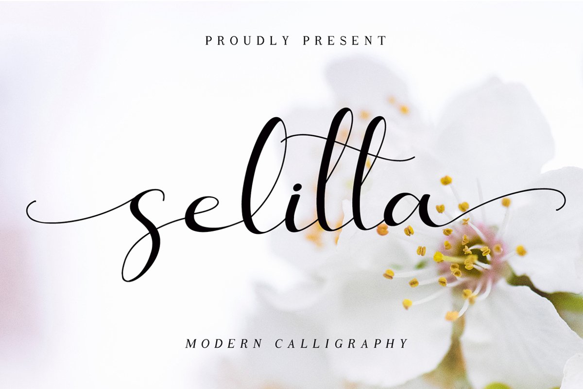 Selitta example image 1