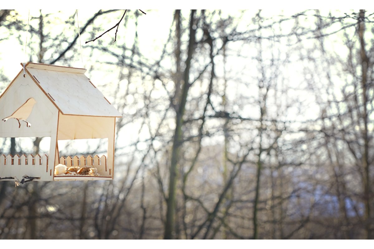 Wooden birdhouse in the forest in early spring. example image 1