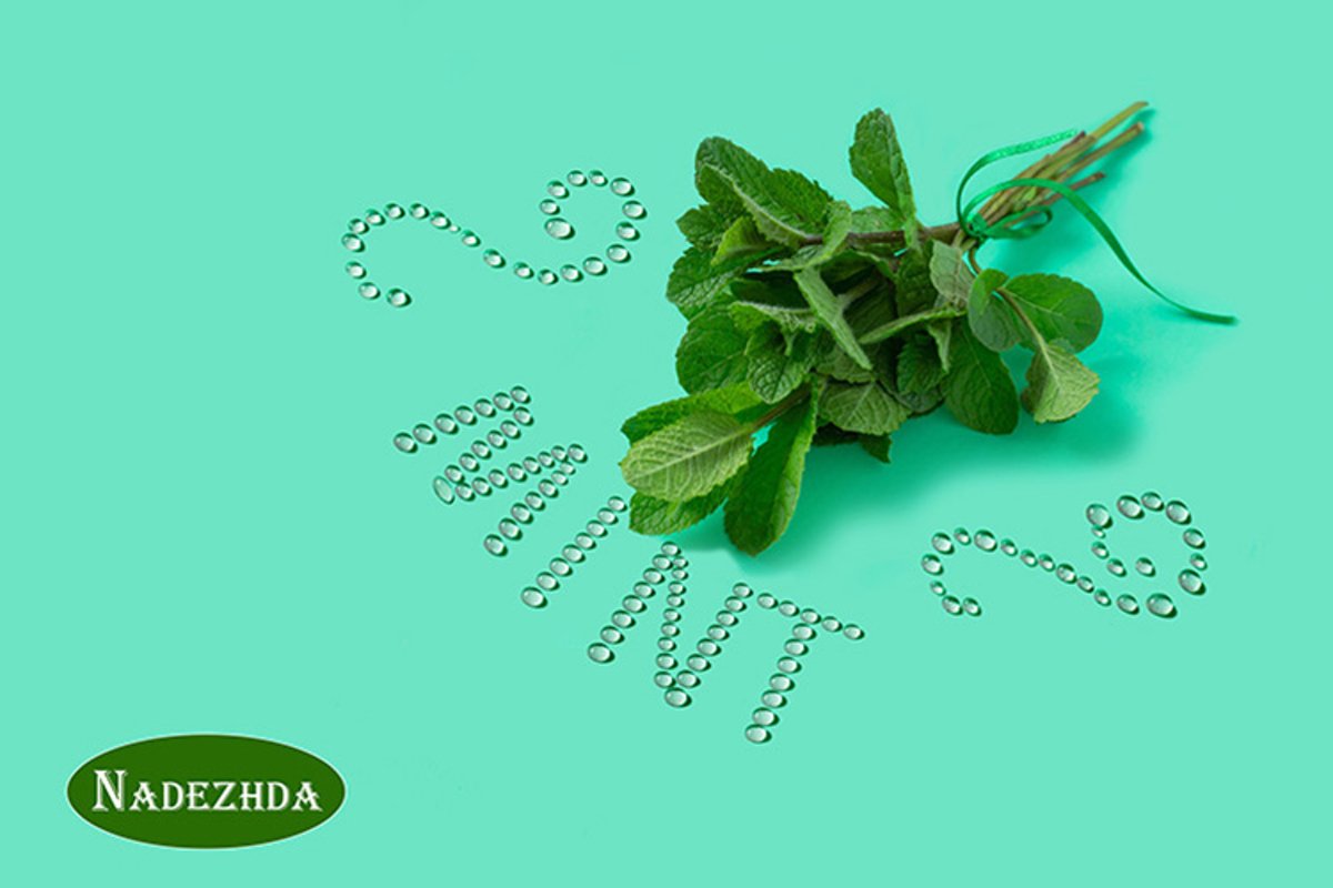 Bunch of fresh mint with inscription drops of water example image 1