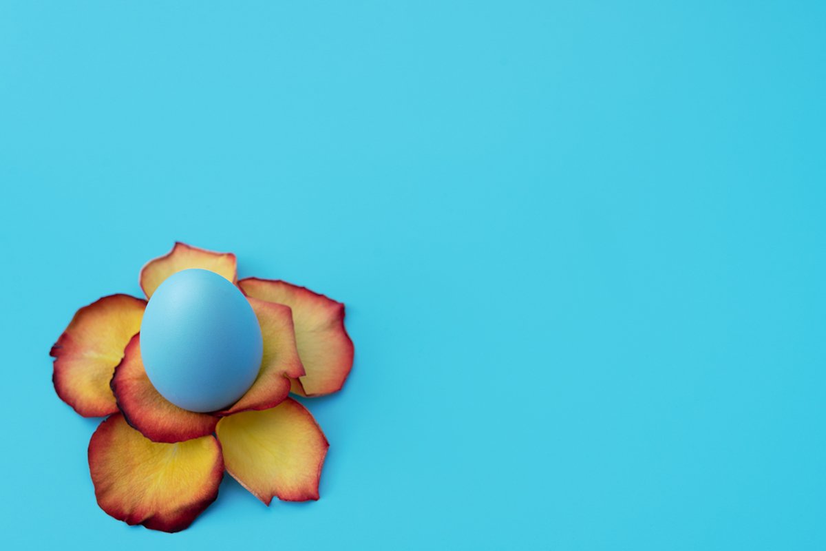 Blue Easter egg stands in yellow flower made of rose petals example image 1