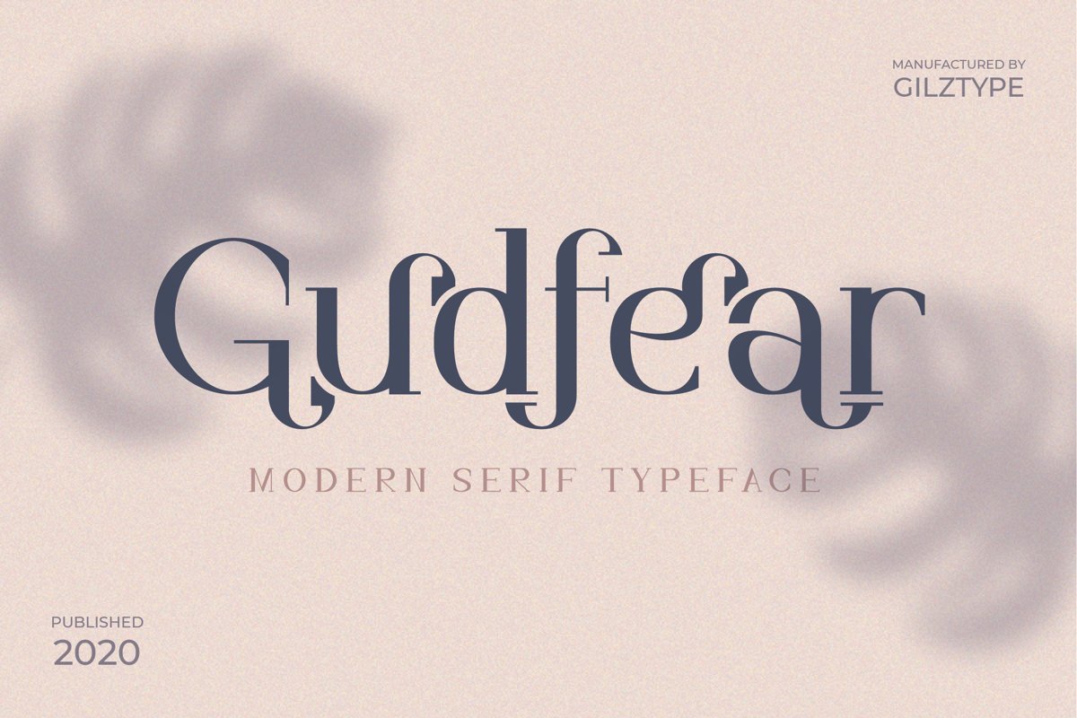 Gudfear - Modern Serif Font example image 1
