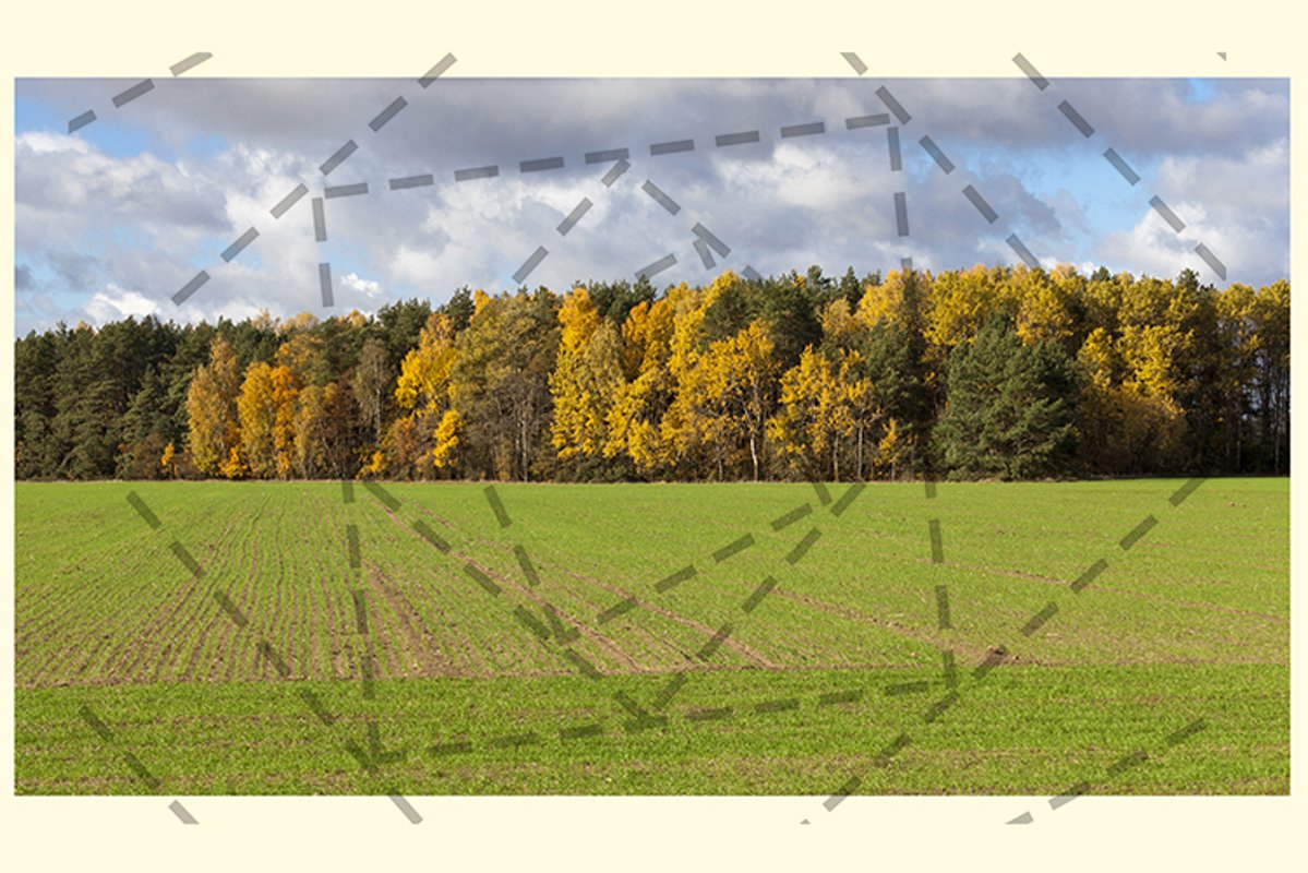 autumn nature example image 1