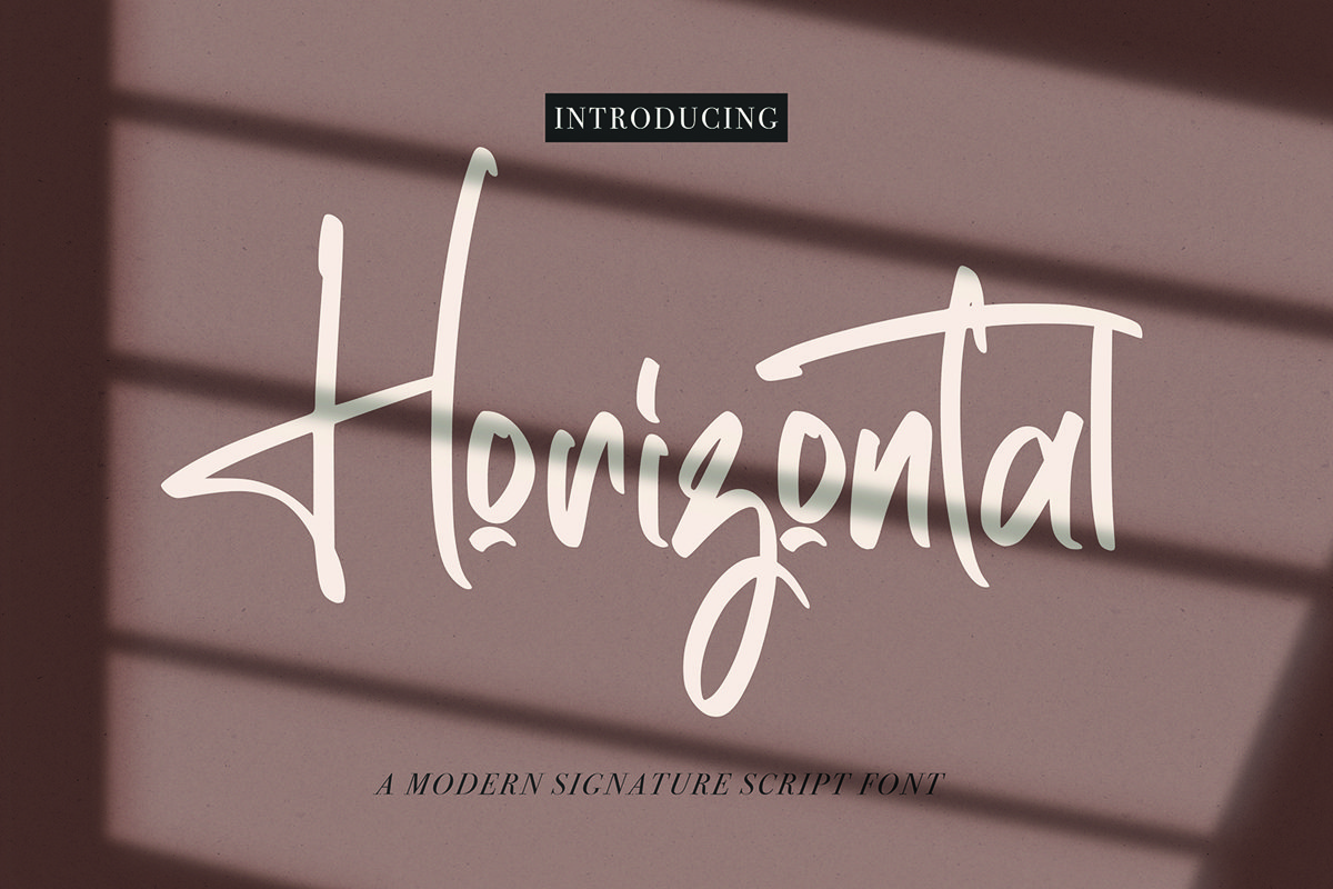 Horizontal - Signature Script Font example image 1