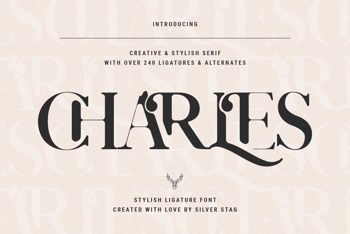 Charles - Chic Ligature Serif Font example image 1
