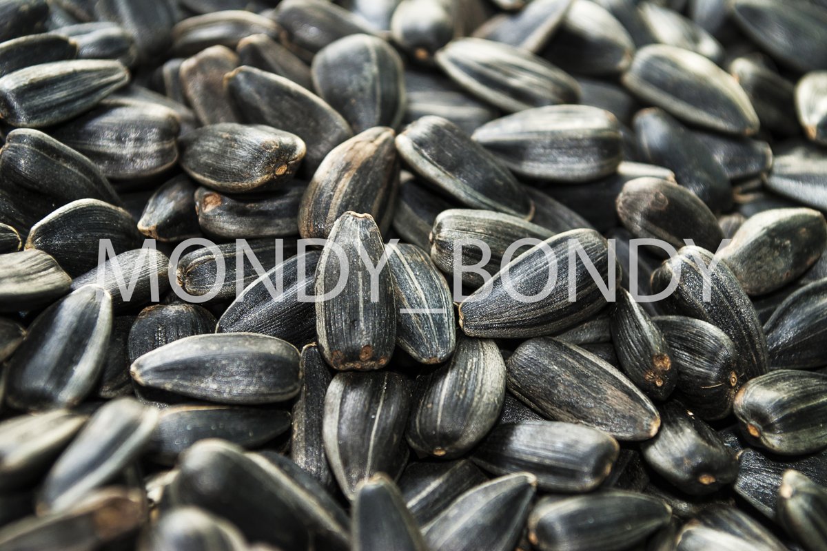 Sunflower seeds close up. Texture example image 1