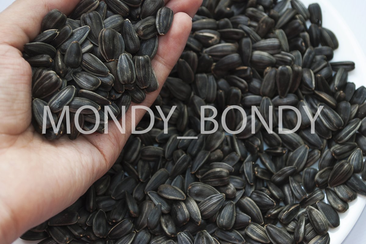 Sunflower seeds close up. Texture example image 1