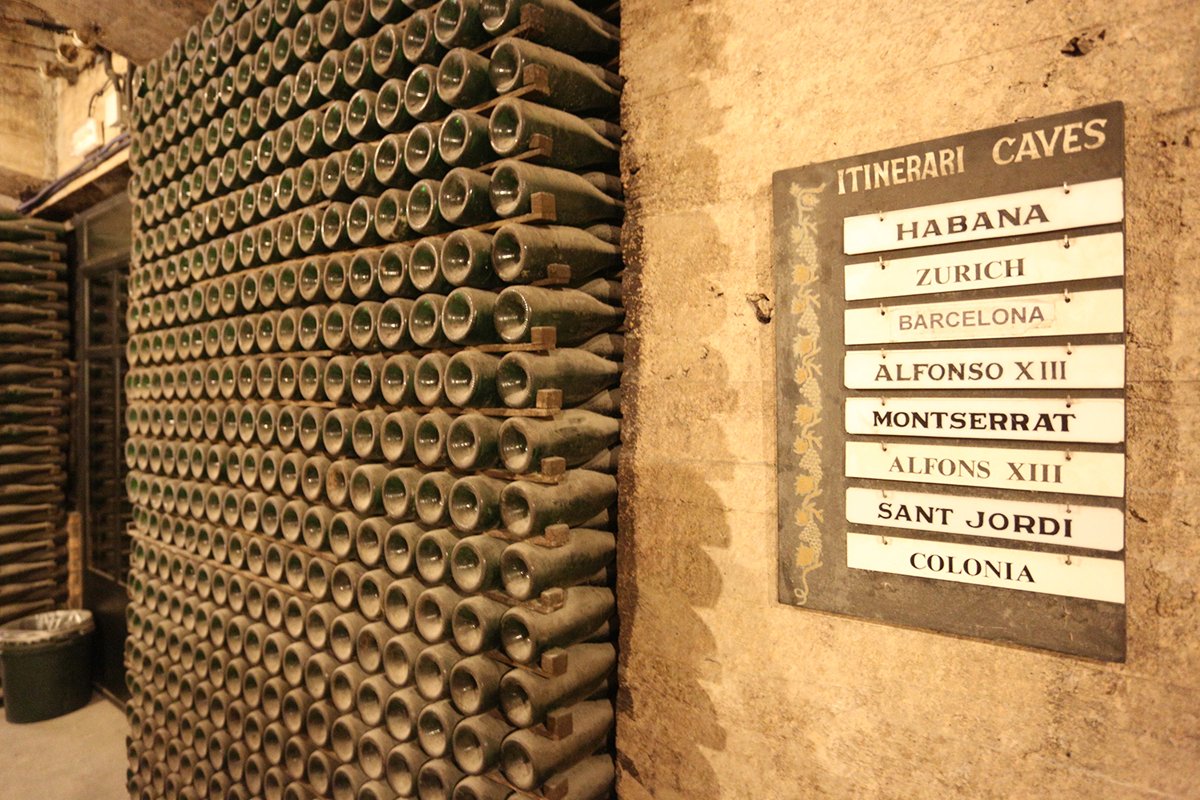 Stock photo of winery production in italy example image 1