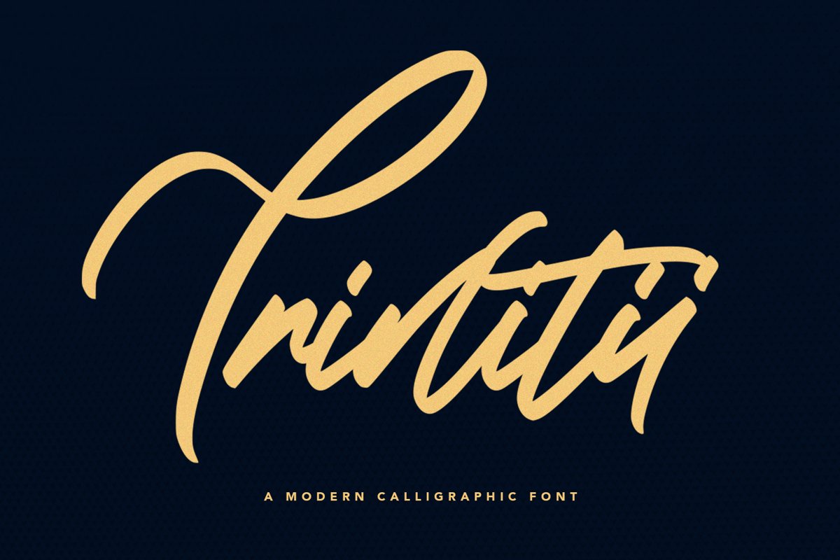 Trinitii - Modern Calligraphic Font example image 1