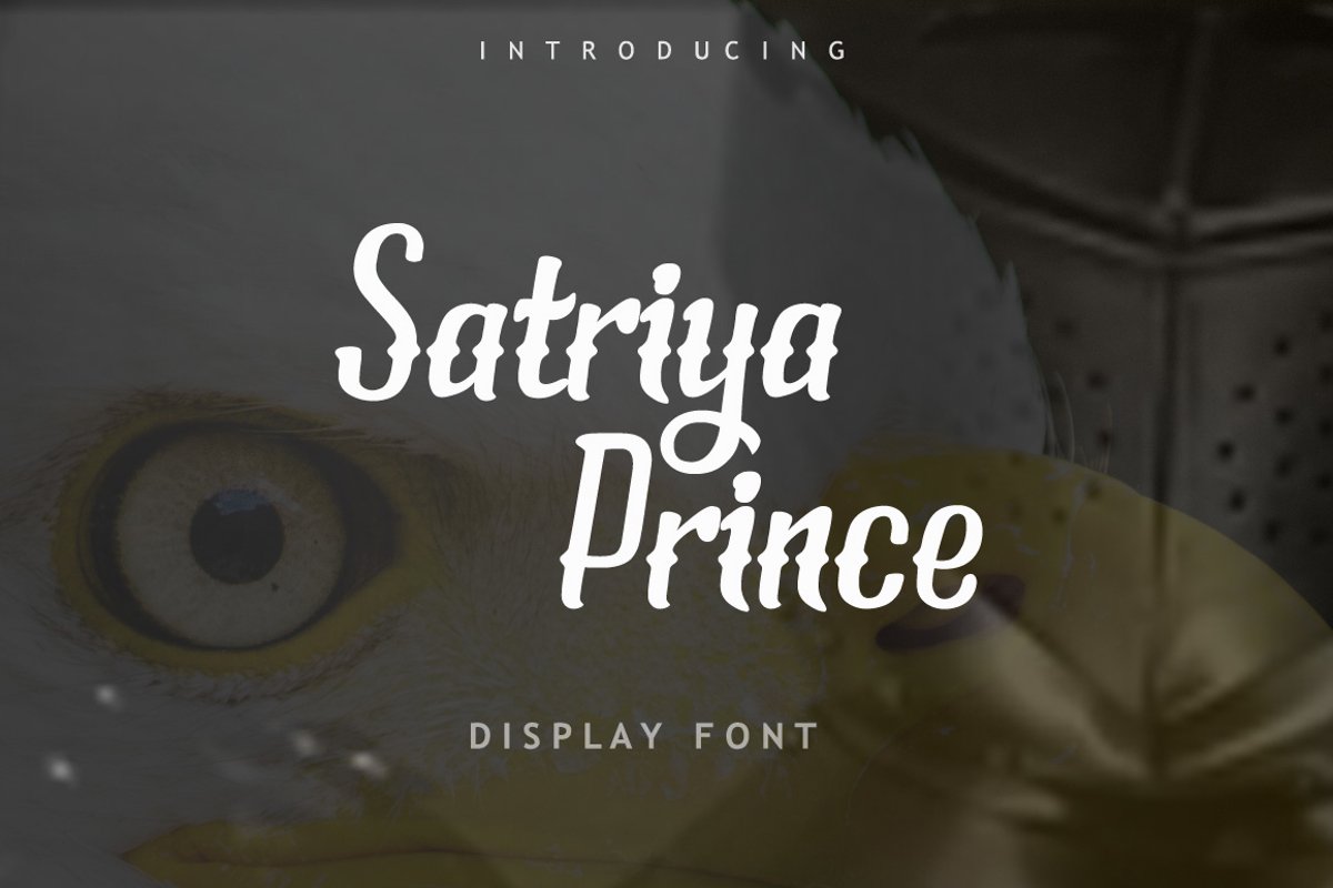 Satriya Prince Font example image 1