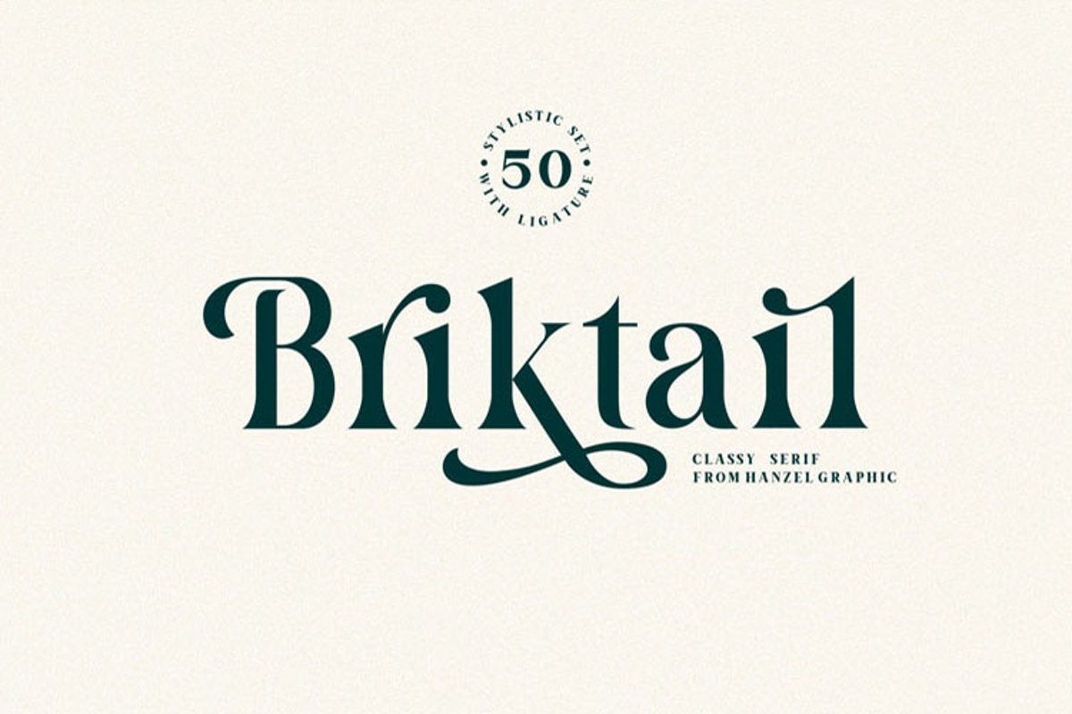 Briktail//Modern Serif Font example image 1