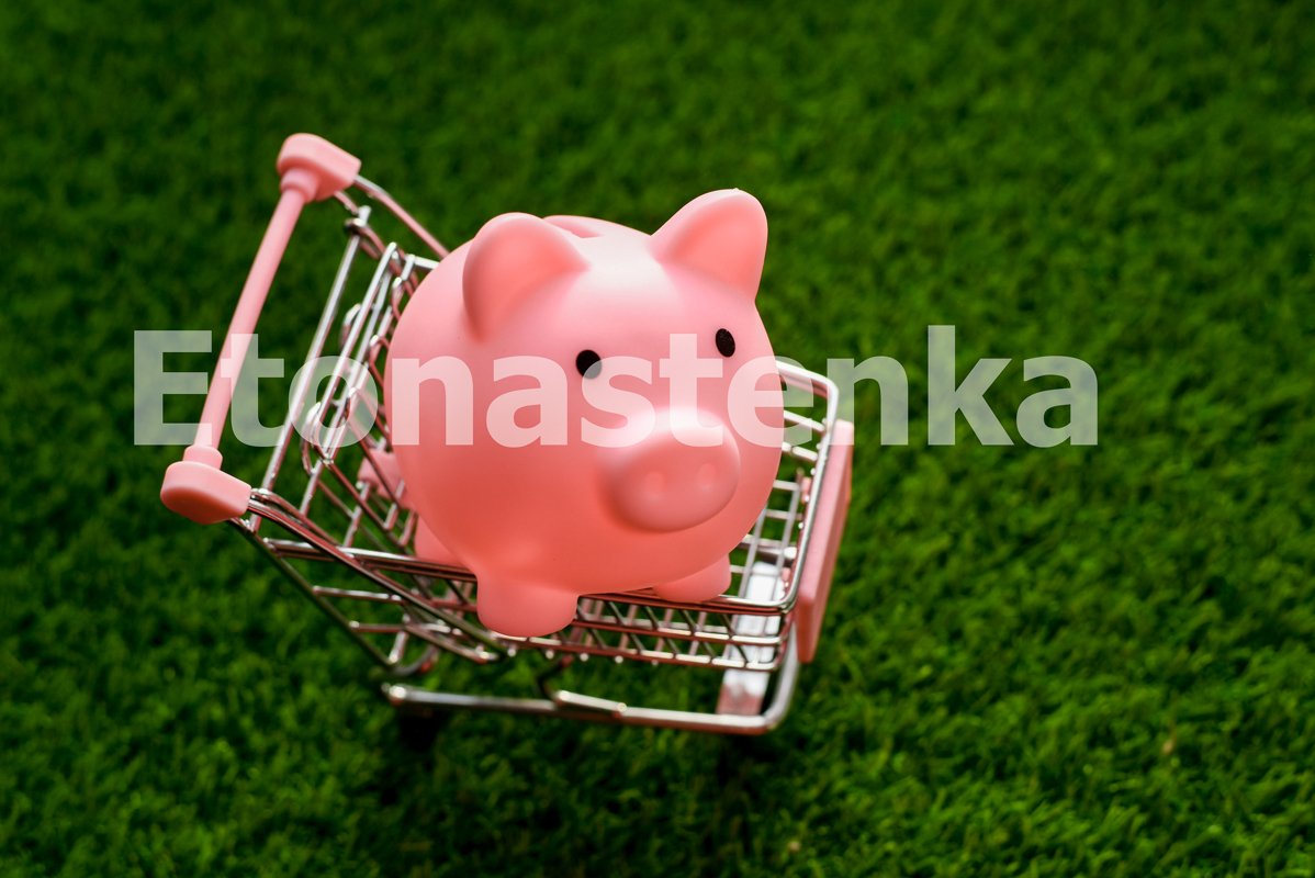 Trolley with piggy bank piggy on a background of green grass example image 1