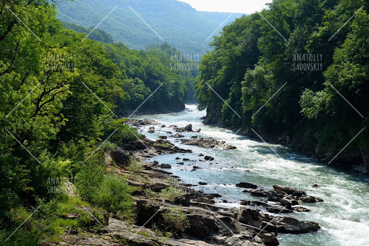 Summer landscape with mountain river example image 1