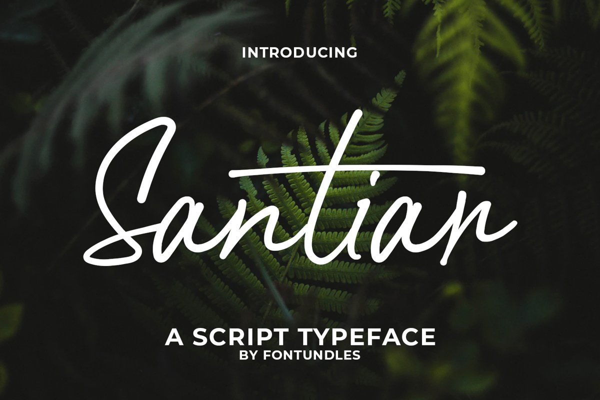 Santiar example image 1