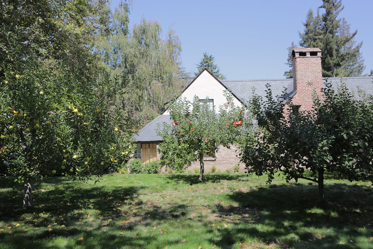 Palo-Alto, California, house of Steve Jobs with apple trees example image 1