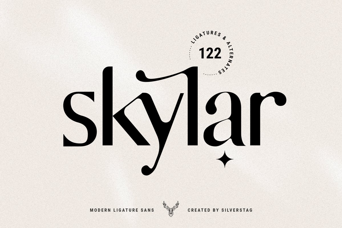 skylar - modern ligature sans font example image 1