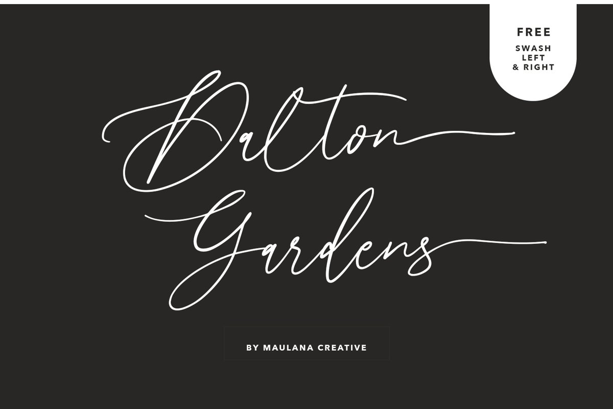 Dalton Gardens - Script Font example image 1