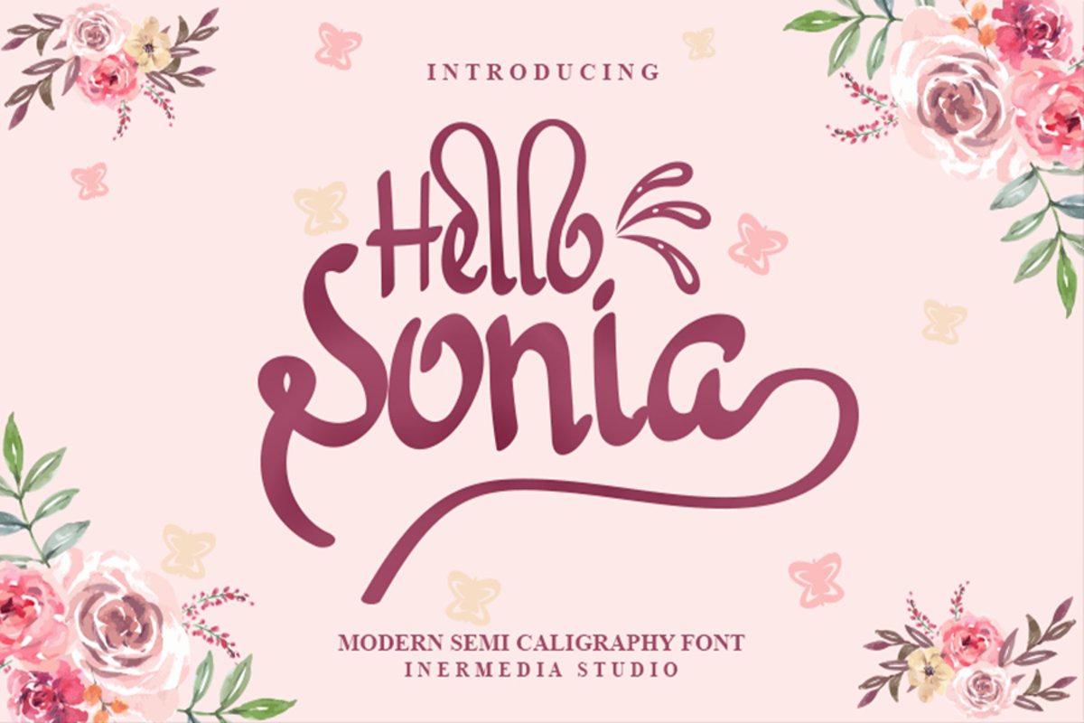 Hello Sonia example image 1