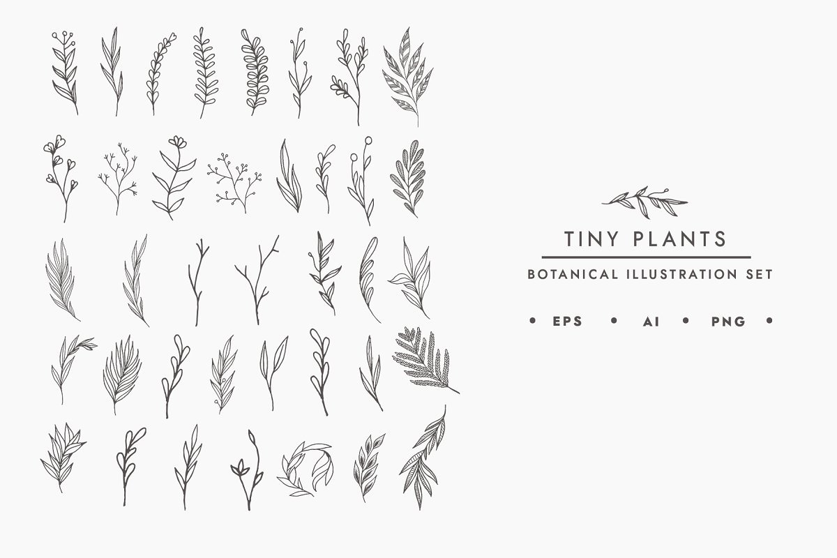 Tiny Plants Illustration Bundle example image 1