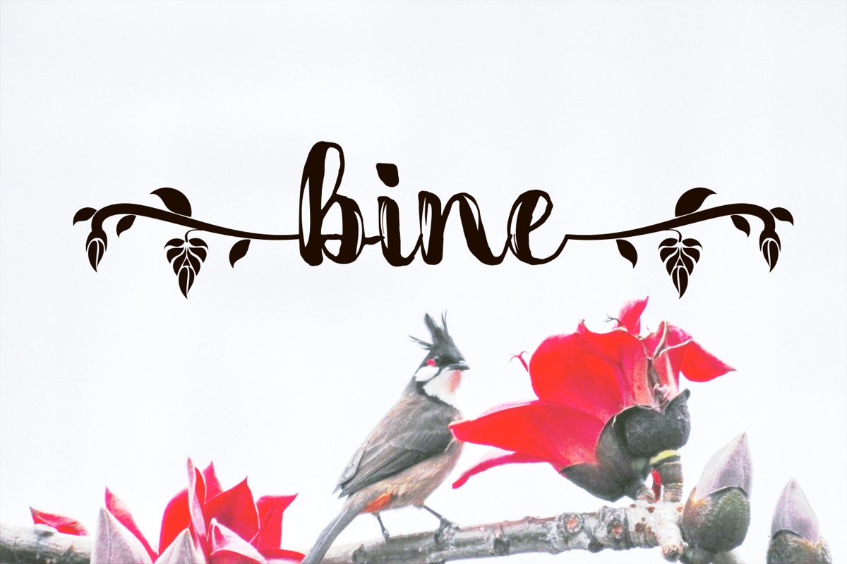 bine trimming script example image 1
