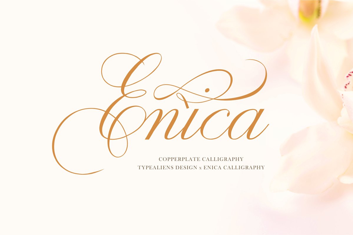 Enica example image 1