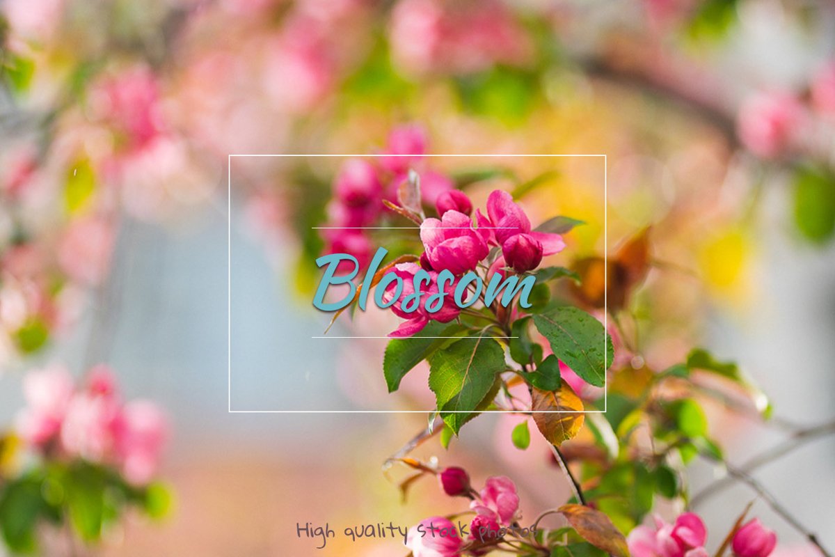 Flowers, spring blossom example image 1
