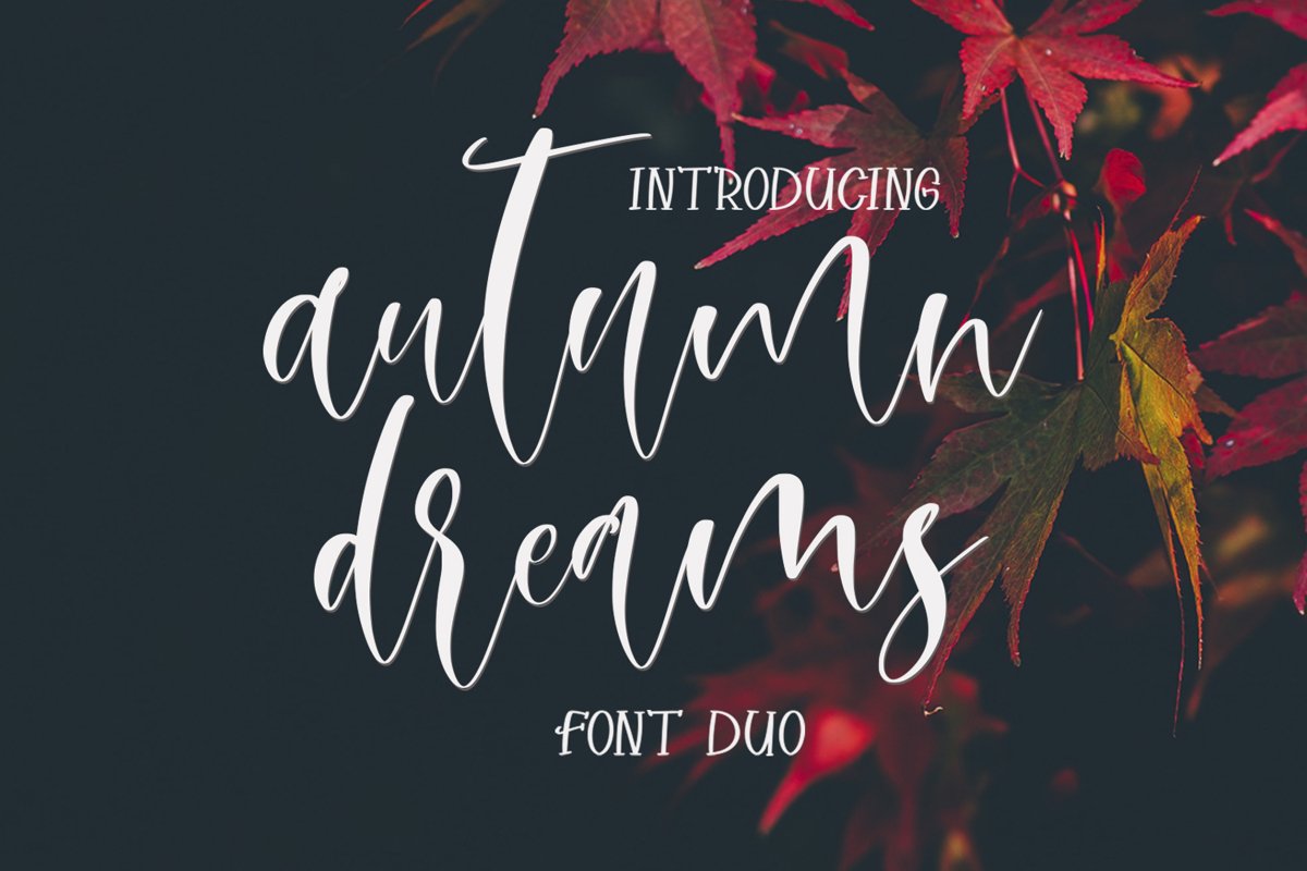 Autumn Dreams Font Duo example image 1