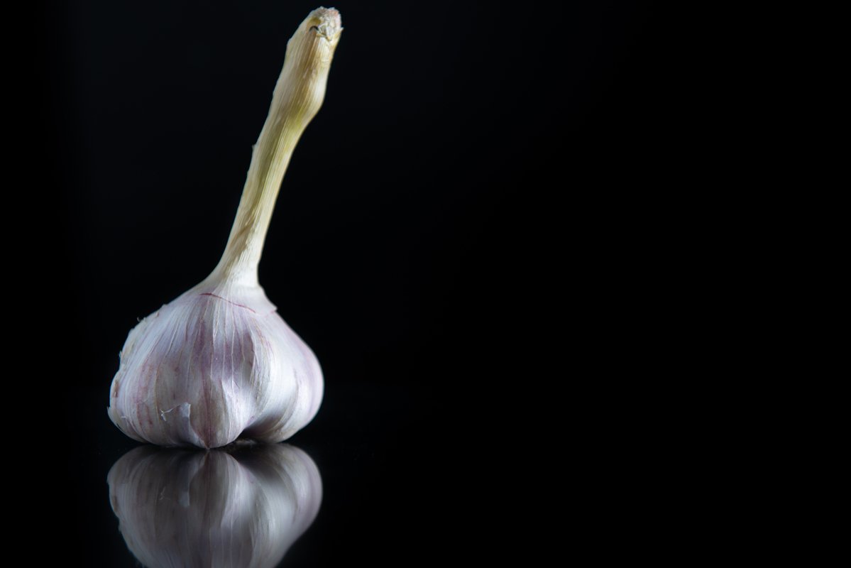 garlic with a stem on a black isolated background example image 1