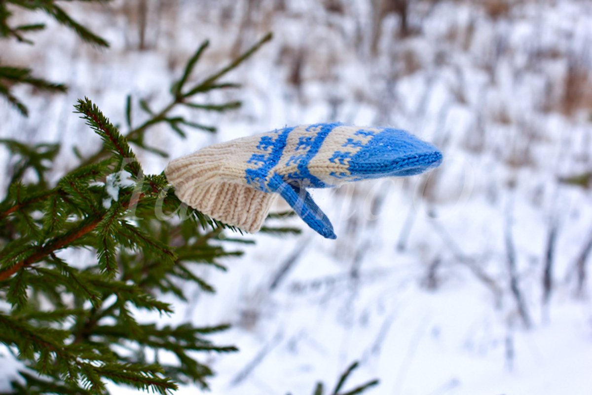 The concept of wintertime, holidays. example image 1