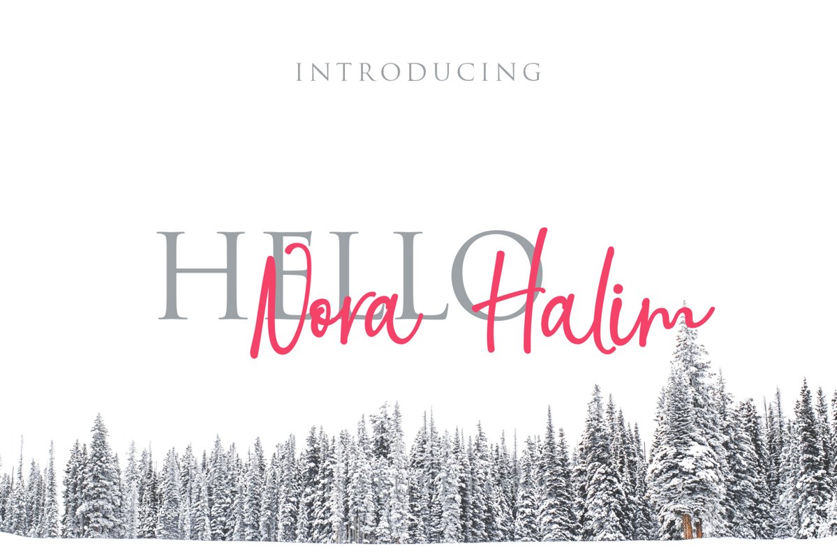 Nora Halim example image 1