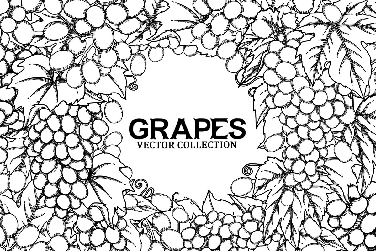 Grapes - vector graphics example image 1