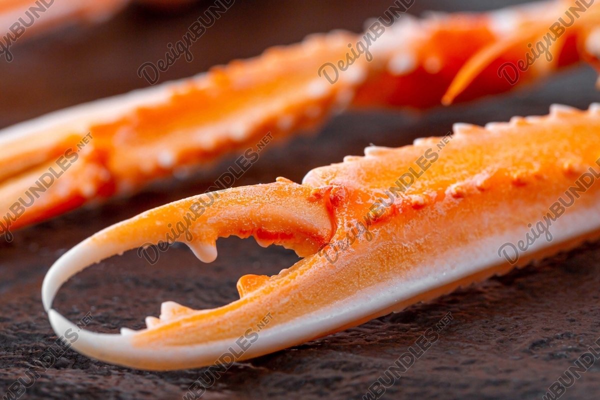 Stock Photo - Crab Legs example image 1