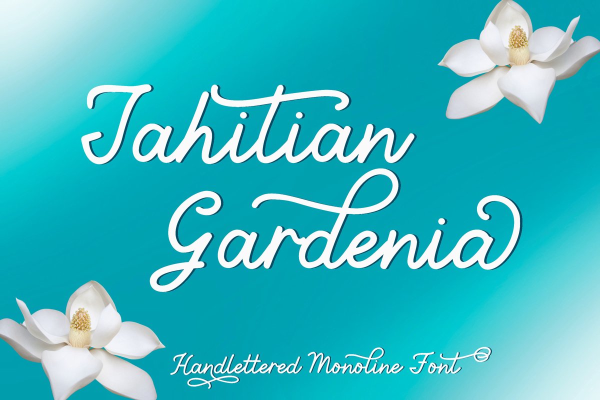 Tahitian Gardenia - Handlettered Monoline Font example image 1