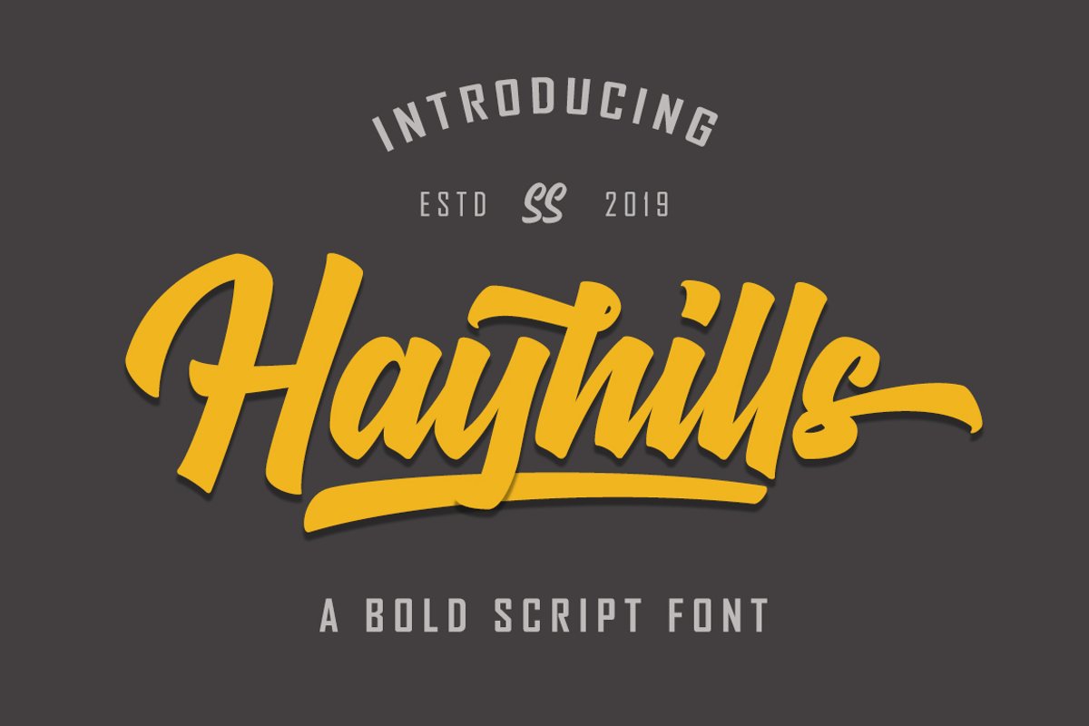 Hayhills Script example image 1