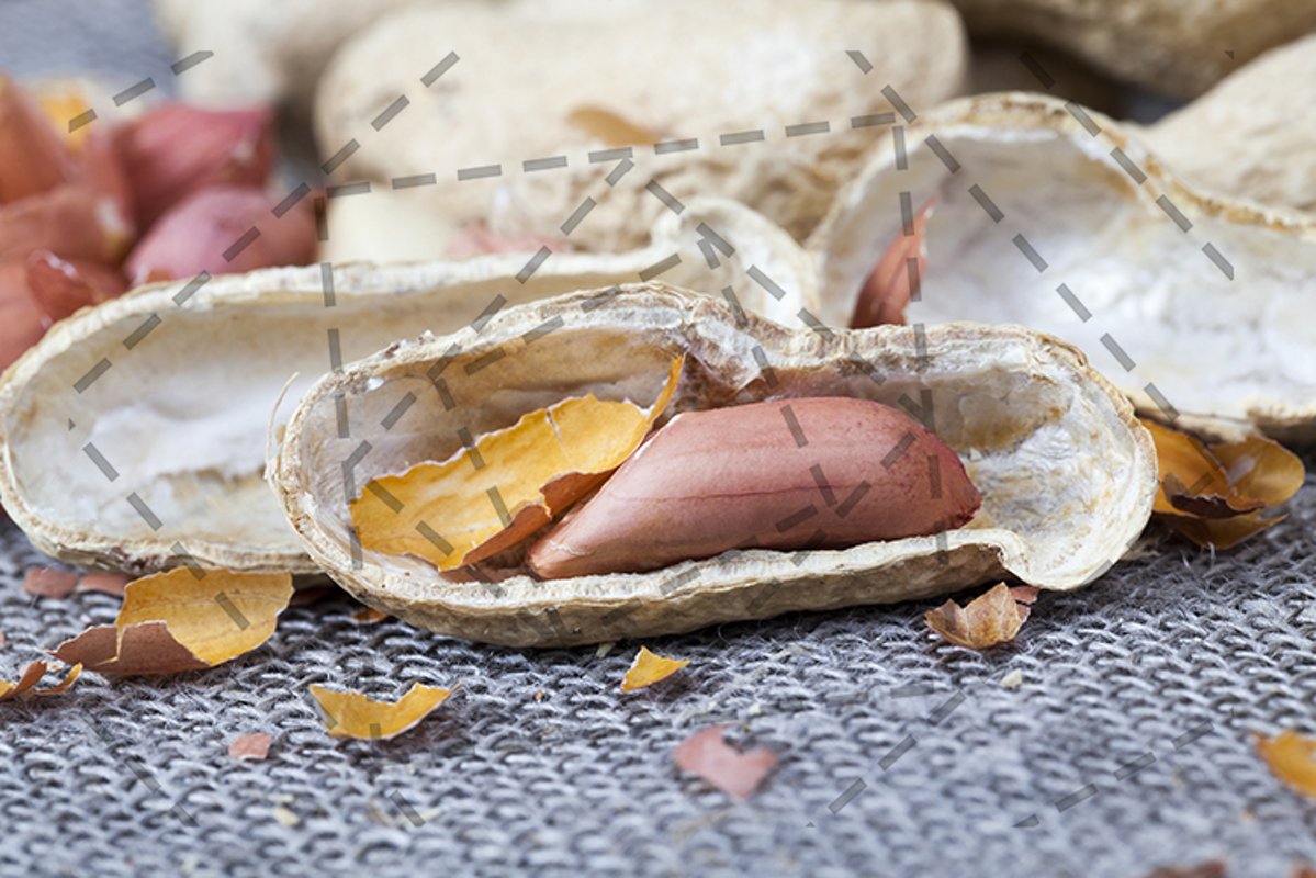 peanut nuts example image 1