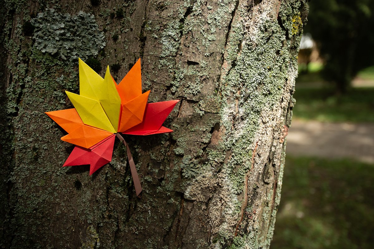 Autumn concept background traditional paper craft handmade example image 1