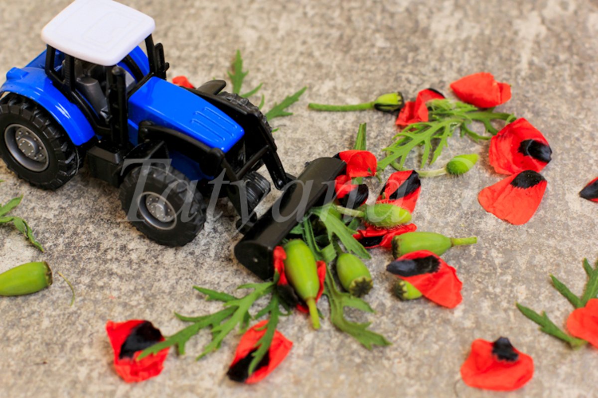 Toy tractor, excavator removing red poppies, corn poppy. example image 1