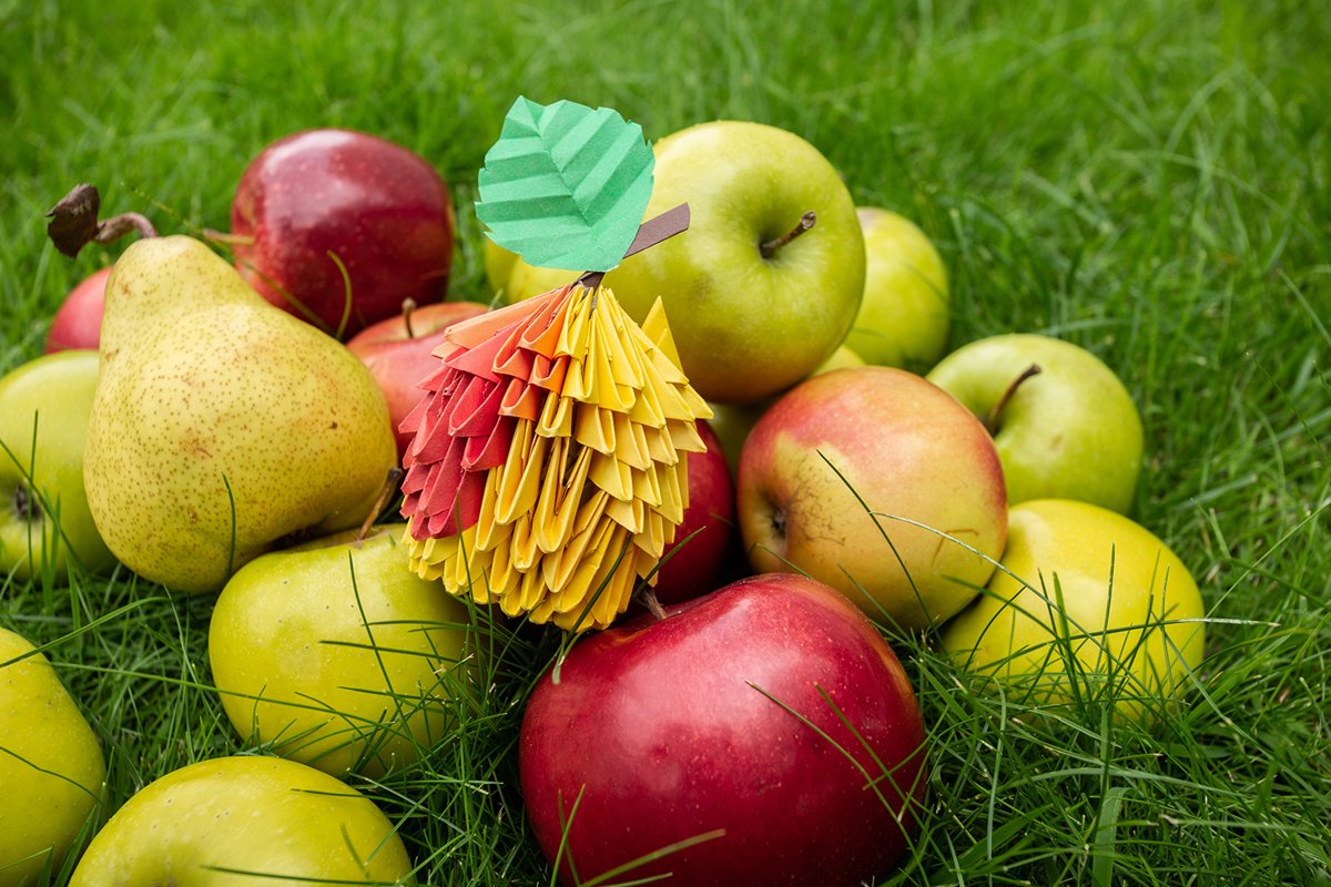 Autumn Apple harvest background wicker basket on green grass example image 1